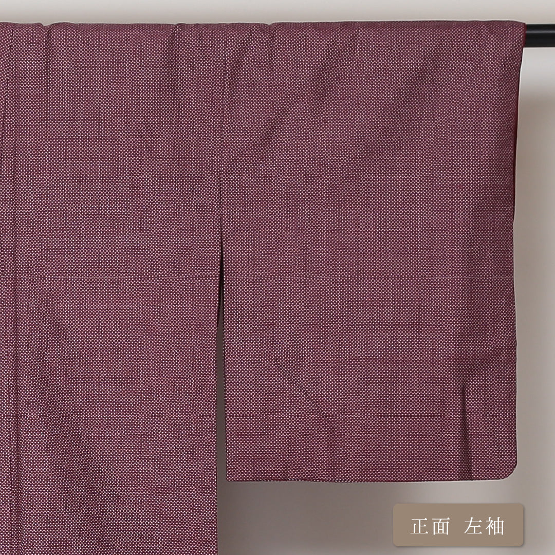 紬 袷 身丈153cm 裄丈64cm 正絹 Aランク カジュアル 広衿 Sサイズ 蚊絣 赤系 RP 1223-03082