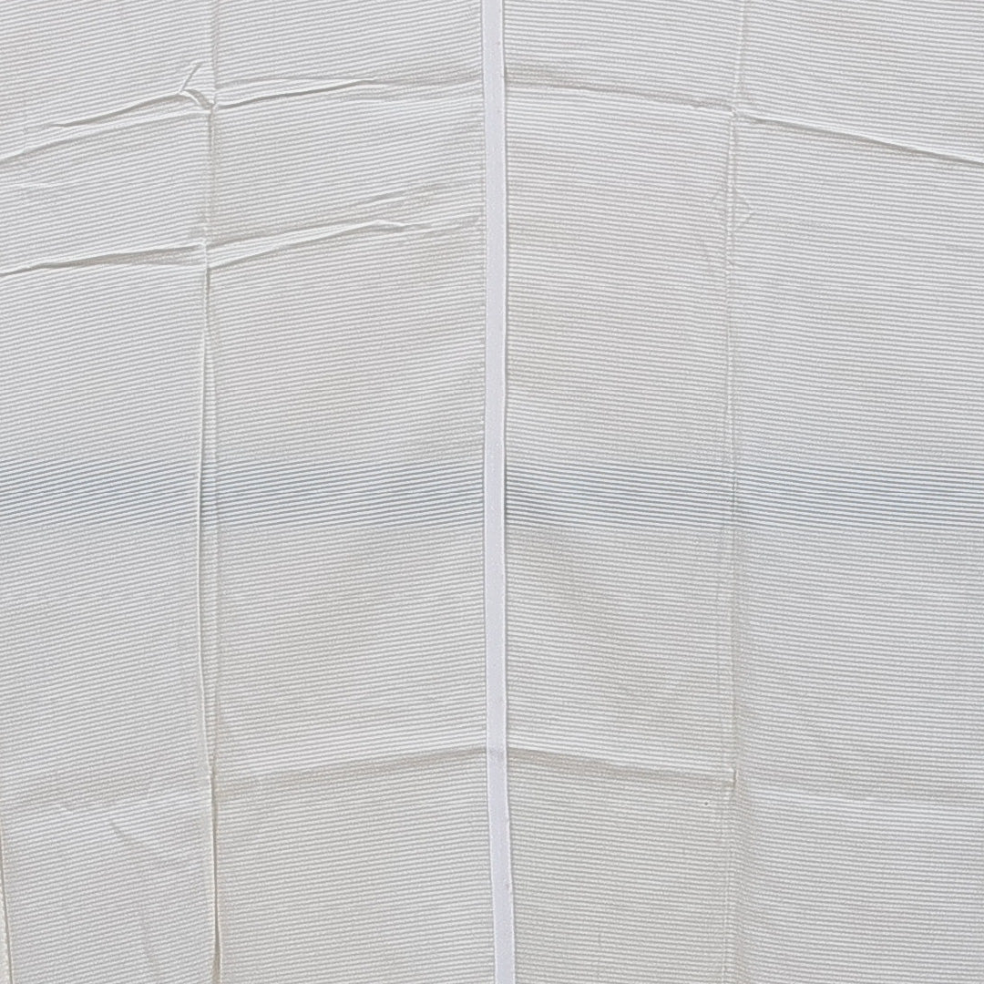 夏物 長襦袢 絽 身丈136cm 裄丈62cm 正絹 Cランク 2XLサイズ 無地 クリーム系 M4 1239-16521