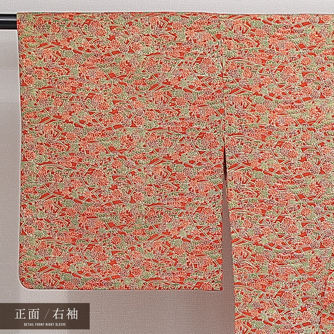 洗える着物 木綿の小紋 単衣 身丈162cm 裄丈65cm 木綿 Sランク インフォーマル 広衿 Lサイズ 肩当て 菊 笹 赤系 RP 1221-14776