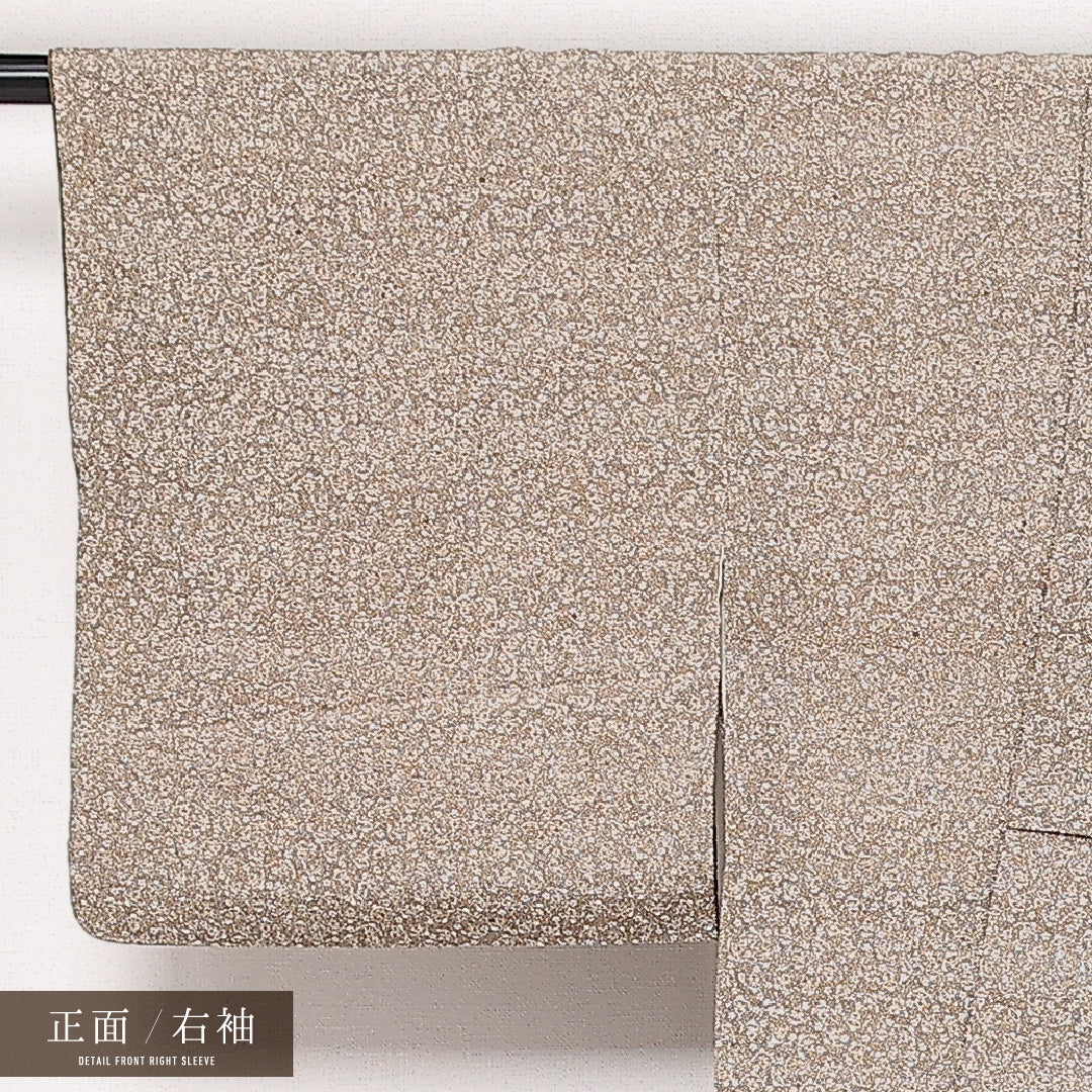 江戸小紋 袷 身丈159cm 裄丈64cm 正絹 Cランク インフォーマル 広衿 Mサイズ 創作柄 茶系 LP 1220-13565