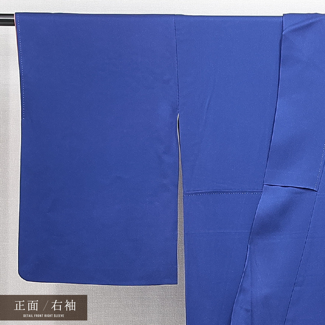 訪問着 袷 身丈158cm 裄丈63cm 正絹 Aランク セミフォーマル 広衿 Mサイズ ぼかし 花車 古典的 華やか 青系 RP 1217-14868