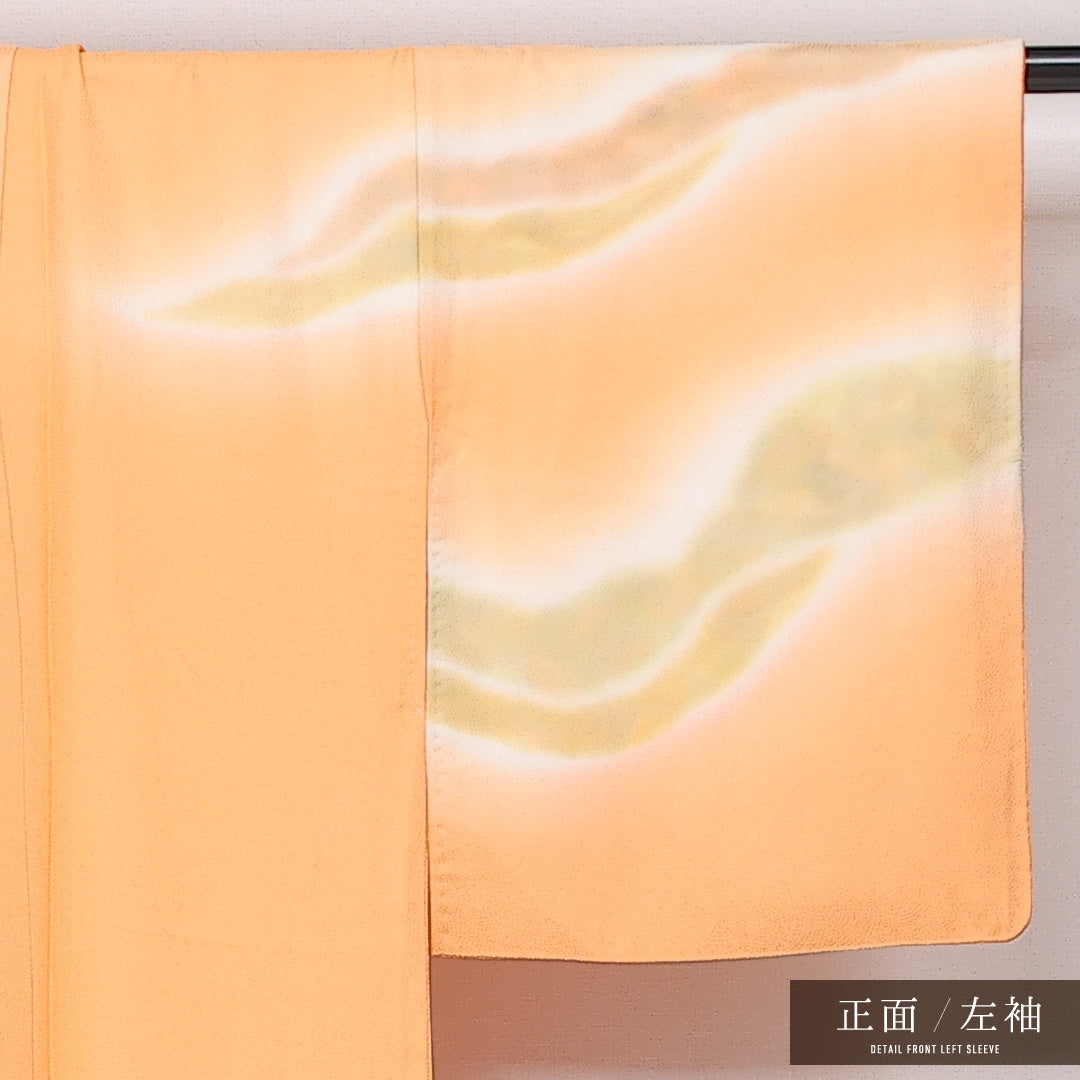 訪問着 袷 身丈169cm 裄丈62cm 正絹 Sランク セミフォーマル 広衿 XLサイズ 上品 シンプル 朱系 HP 1217-13569