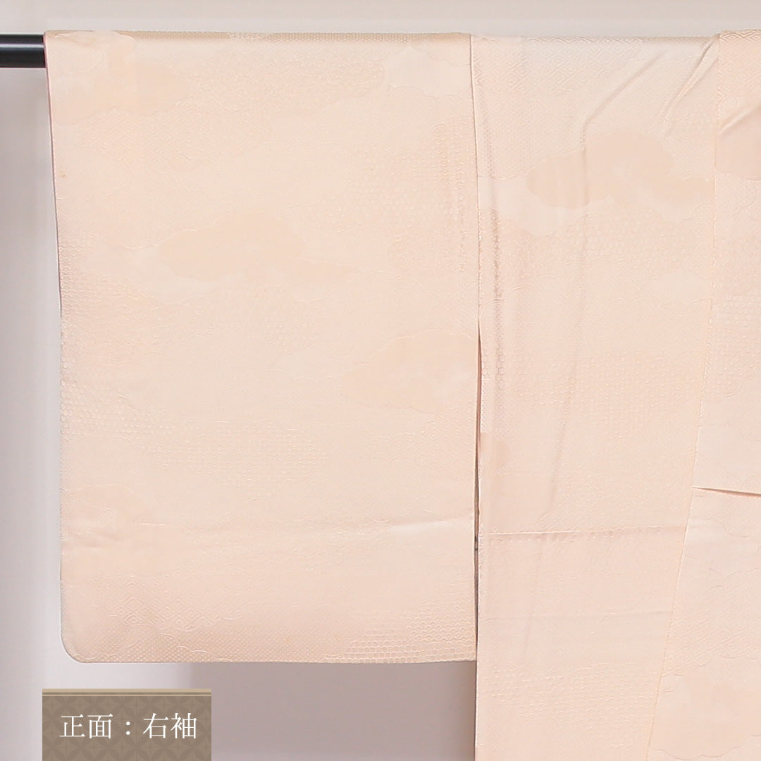 訪問着 袷 身丈155~159cm 裄63cm 正絹 ぼかし 水墨画風 松景色 山水 雄黄色 作家物 スコッチガード クリーム系 画 Bランク 1212-00620