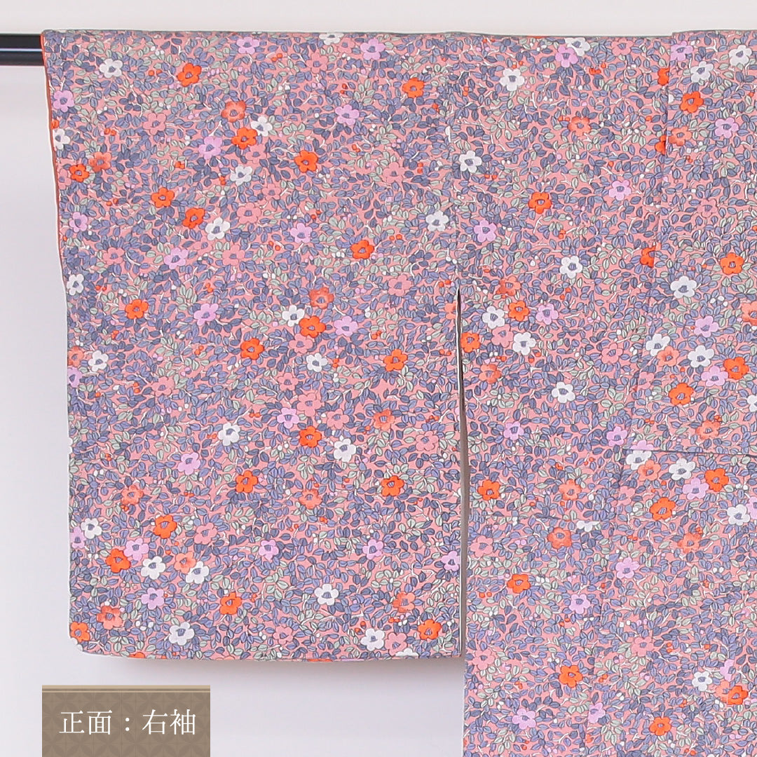 小紋 袷 身丈157cm 裄64cm 正絹 ボタニカル 訪問着 ピンク系 ちりめん Sランク 1215-02128-2313