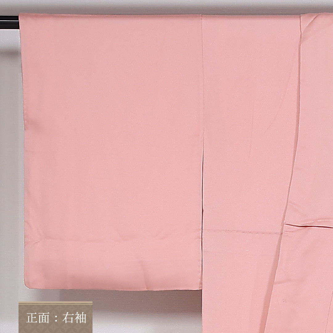 訪問着 袷 身丈168cm 裄65.5cm 正絹 流水 紅葉 牡丹 梅 菊 Aランク 1212-00751