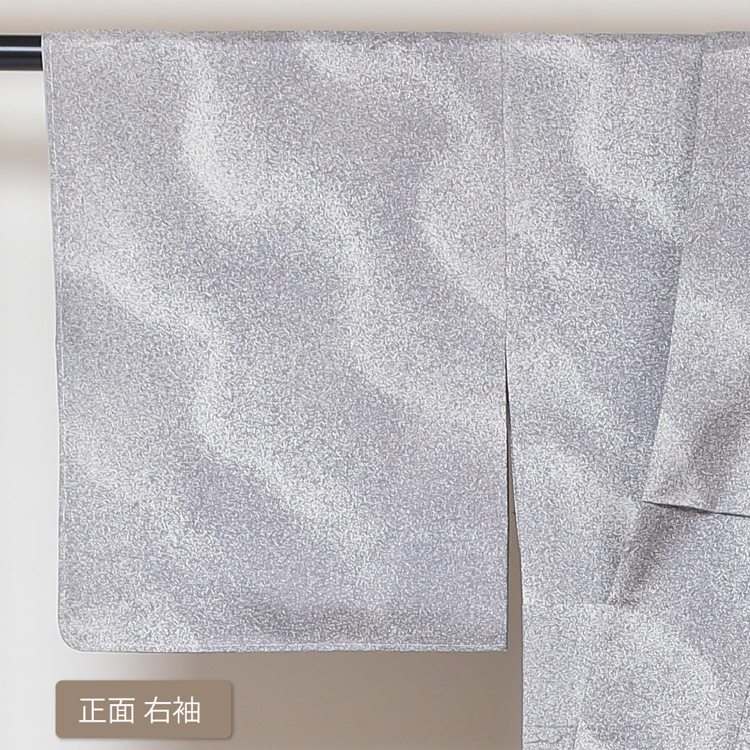 訪問着 (大島紬) 袷 身丈153cm 裄丈63cm 正絹 Sランク インフォーマル 広衿 Sサイズ 経緯絣 ぼかし染 抽象柄 グレー系 M4 1217-04358