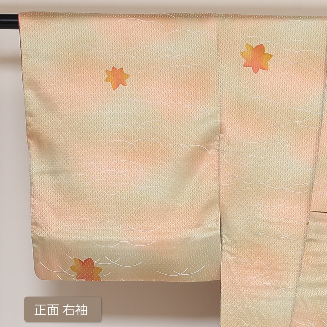 小紋 袷 身丈153cm 裄丈63cm 正絹 Aランク インフォーマル 広衿 Sサイズ ぼかし染 芝草 紅葉 朱系 HP 1221-01642