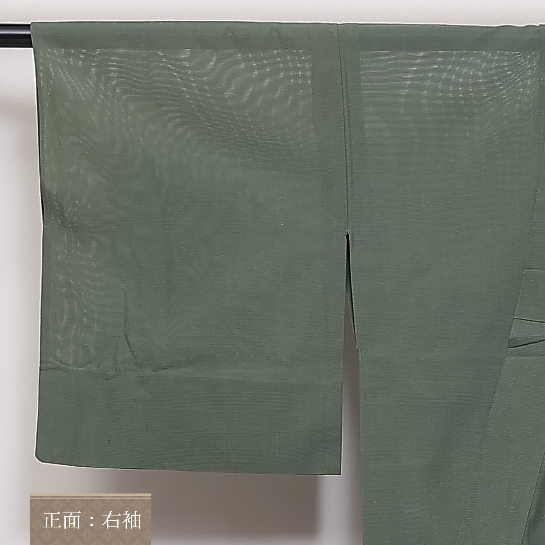 付下げ 夏物 絽 身丈151cm 裄丈63cm 正絹 Aランク Sサイズ 広衿 一つ紋(蔦) セミフォーマル 創作柄 緑系 1261-04668