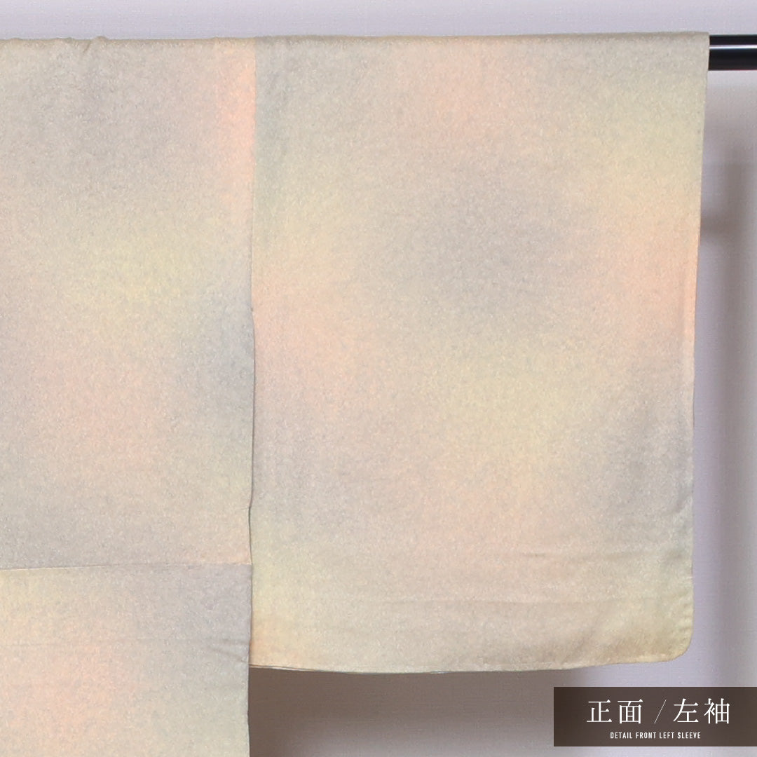 小紋 身丈152cm 裄丈62cm S 正絹 Bランク 袷 広衿 ぼかし 1215-11441