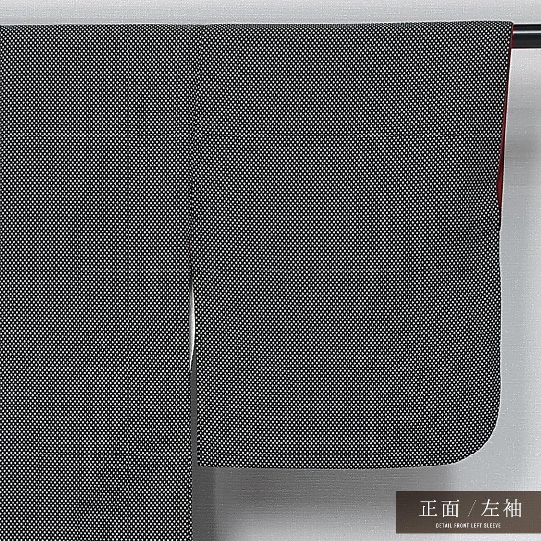 江戸小紋 身丈154cm 裄丈62.5cm Bランク S 正絹 袷 広衿 角通し セミフォーマル 黒系 1262-11880