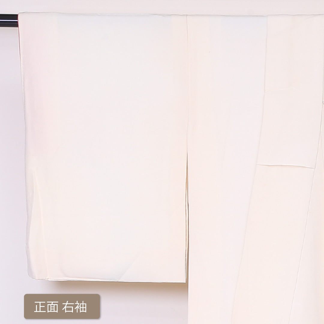 訪問着 袷 身丈161cm 裄丈62cm 正絹 Cランク Lサイズ 広衿 セミフォーマル 牡丹 金駒刺繍 クリーム系 1212-04478