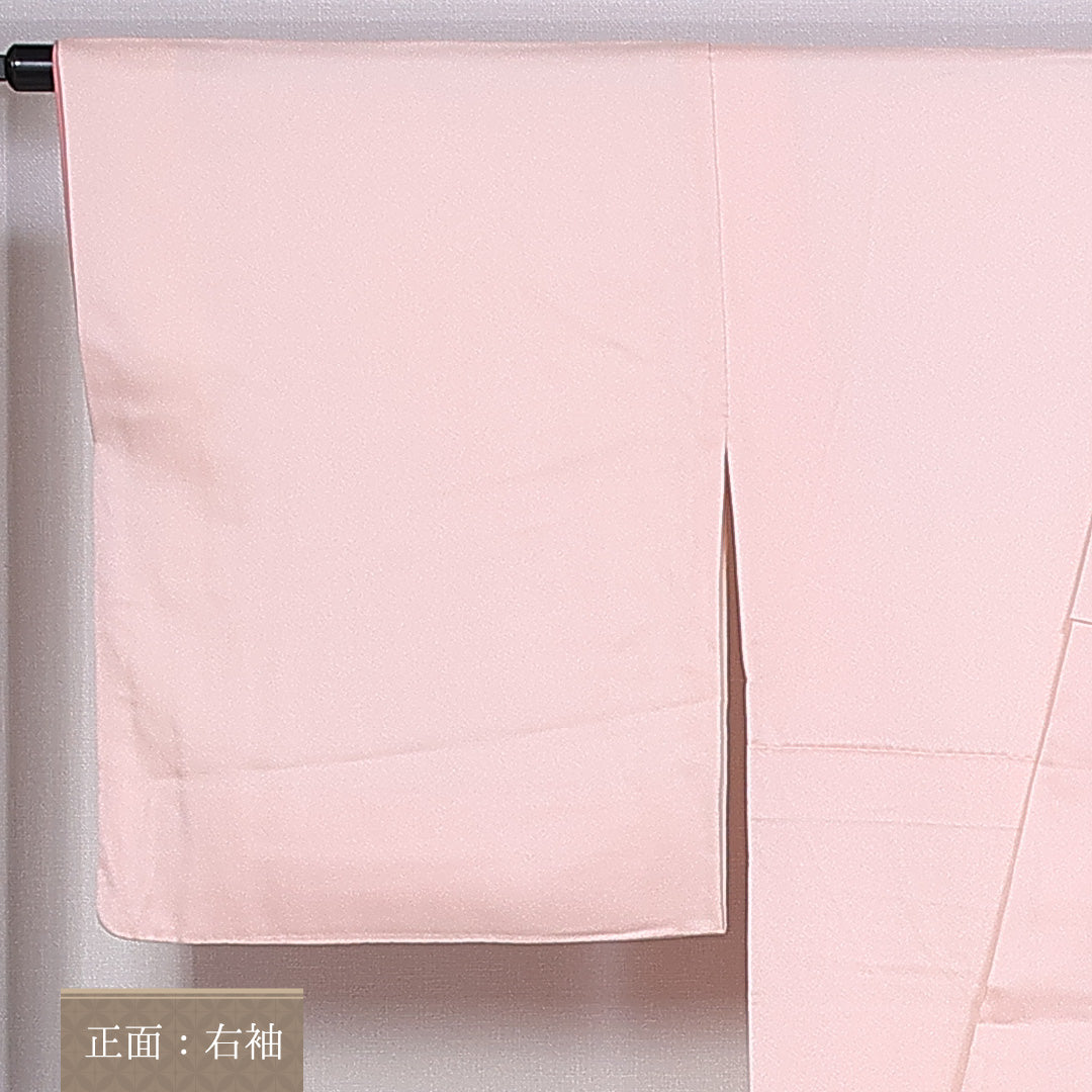 訪問着 身丈164cm 裄丈64cm L 正絹 Aランク 袷 広衿 刺繍 牡丹 椿 1212-10222