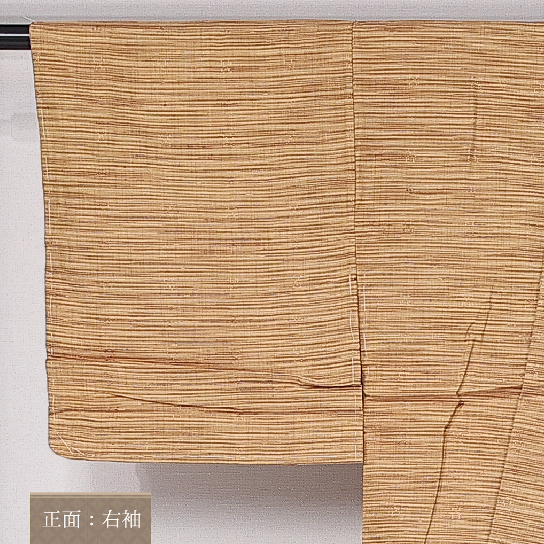 真綿紬 袷 身丈155cm 裄丈61cm 正絹 Sランク カジュアル バチ衿 Mサイズ 織り出し 抽象柄 茶系 RP 1223-10911