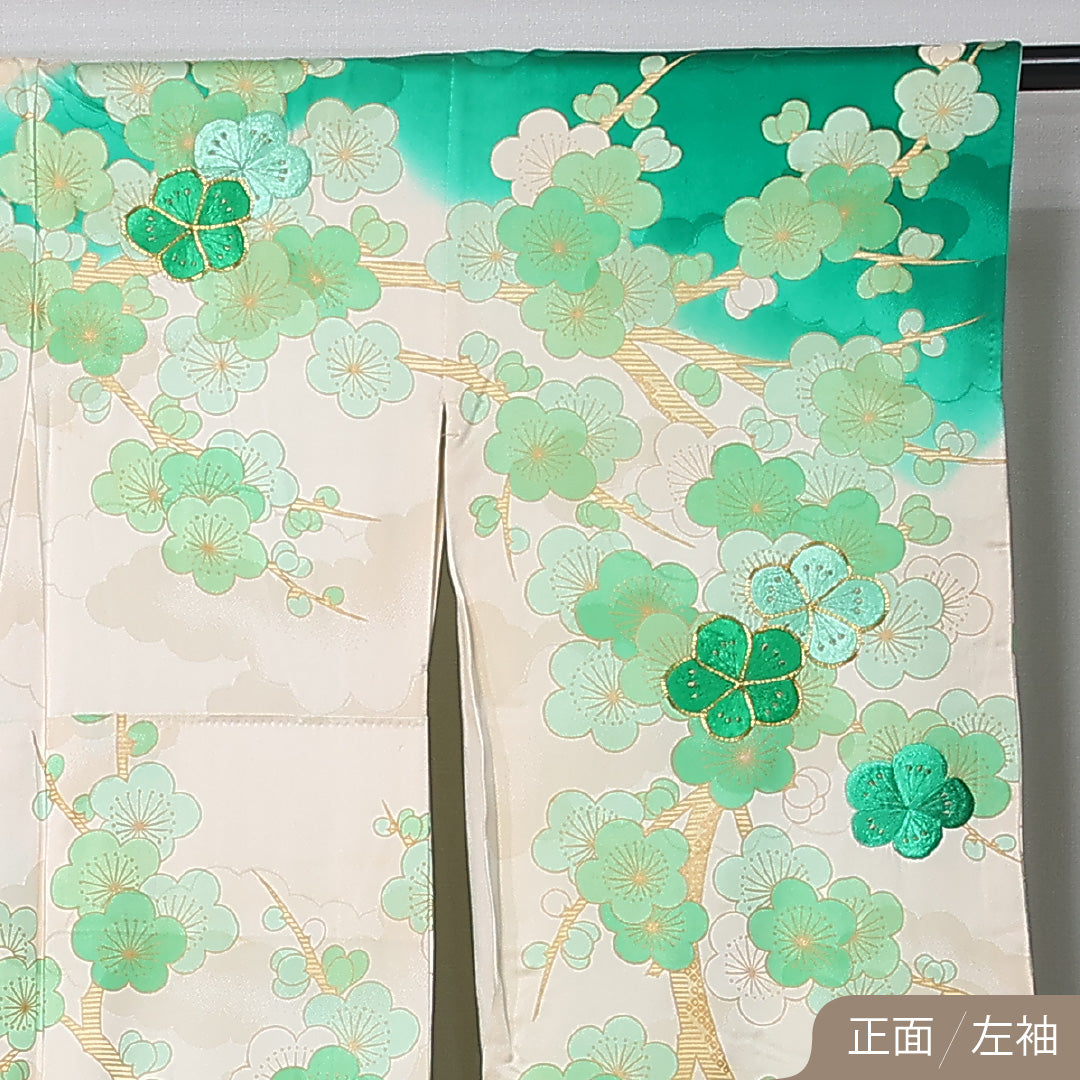 振袖 身丈149cm 裄丈65cm Cランク 正絹 袷 広衿 XS 金駒刺繍 梅 フォーマル 独創的 爽やか クリーム系 緑系 1213-F0464