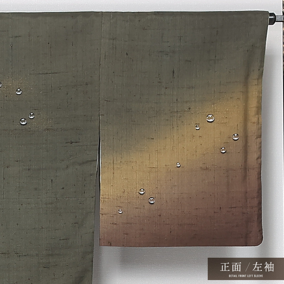 訪問着 袷 身丈168cm 裄丈68cm 正絹 Aランク セミフォーマル 広衿 XLサイズ ぼかし染 作家物 落款 壺 緑系 RP 1217-12158