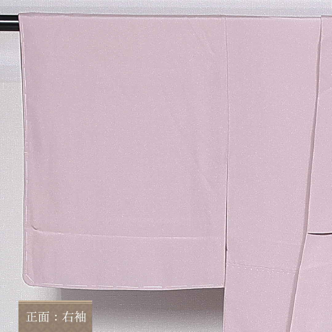 訪問着 身丈152cm 裄丈60cm Aランク 袷 正絹 広衿 草花 ぼかし 1212-10195