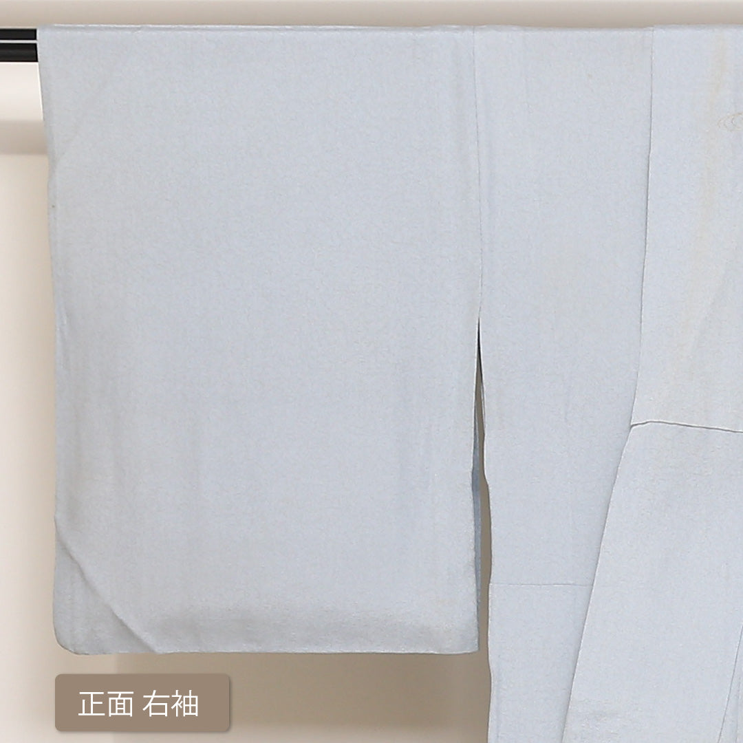 訪問着 袷 身丈159cm 裄丈63cm 正絹 Bランク セミフォーマル 広衿 Mサイズ 金彩 蘇州刺繍 汕頭刺繍 吉祥文様 水色系 HP 1217-04418