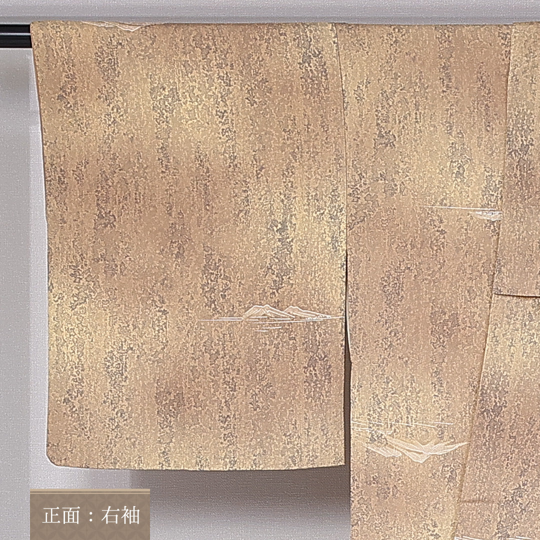 紬 袷 身丈160cm 裄丈64cm 正絹 Bランク カジュアル 広衿 Lサイズ 染め紬 創作柄 茶系 RP 1223-10901
