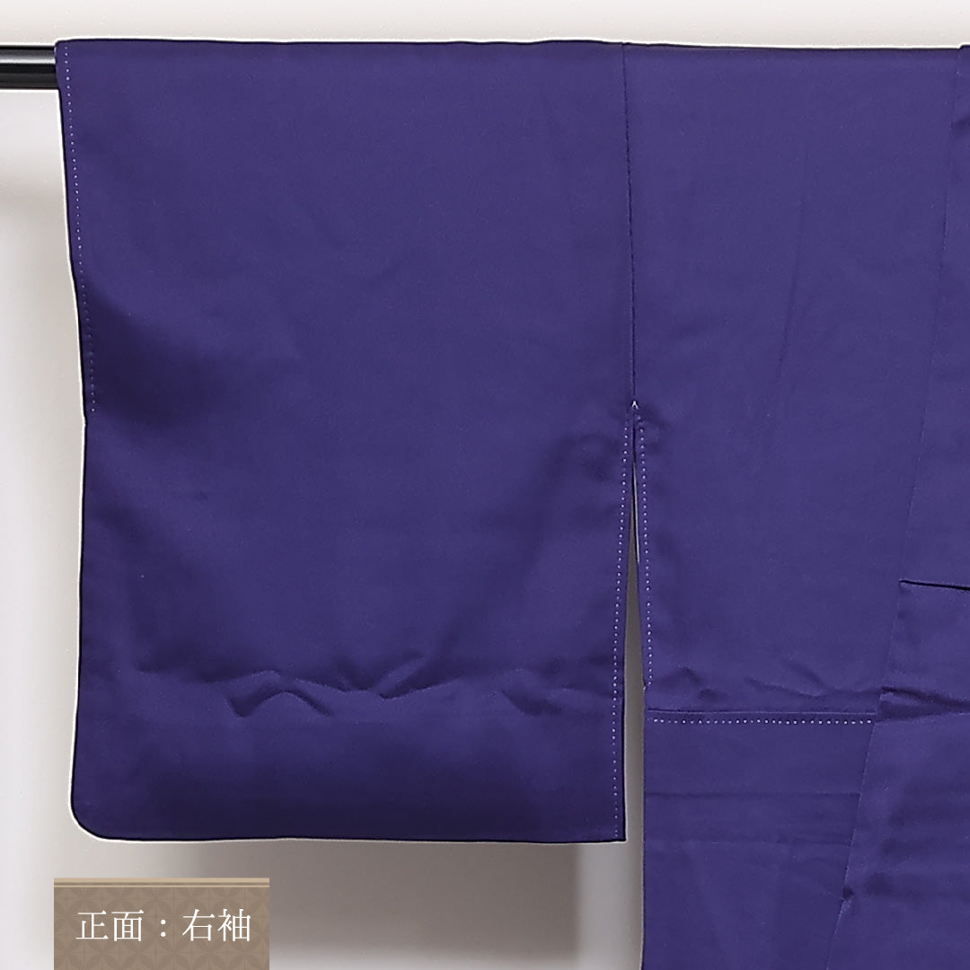 訪問着 袷 身丈158cm 裄64.5cm 正絹 金彩 扇子 鴛鴦 菖蒲 箔 松 Aランク 1212-00697