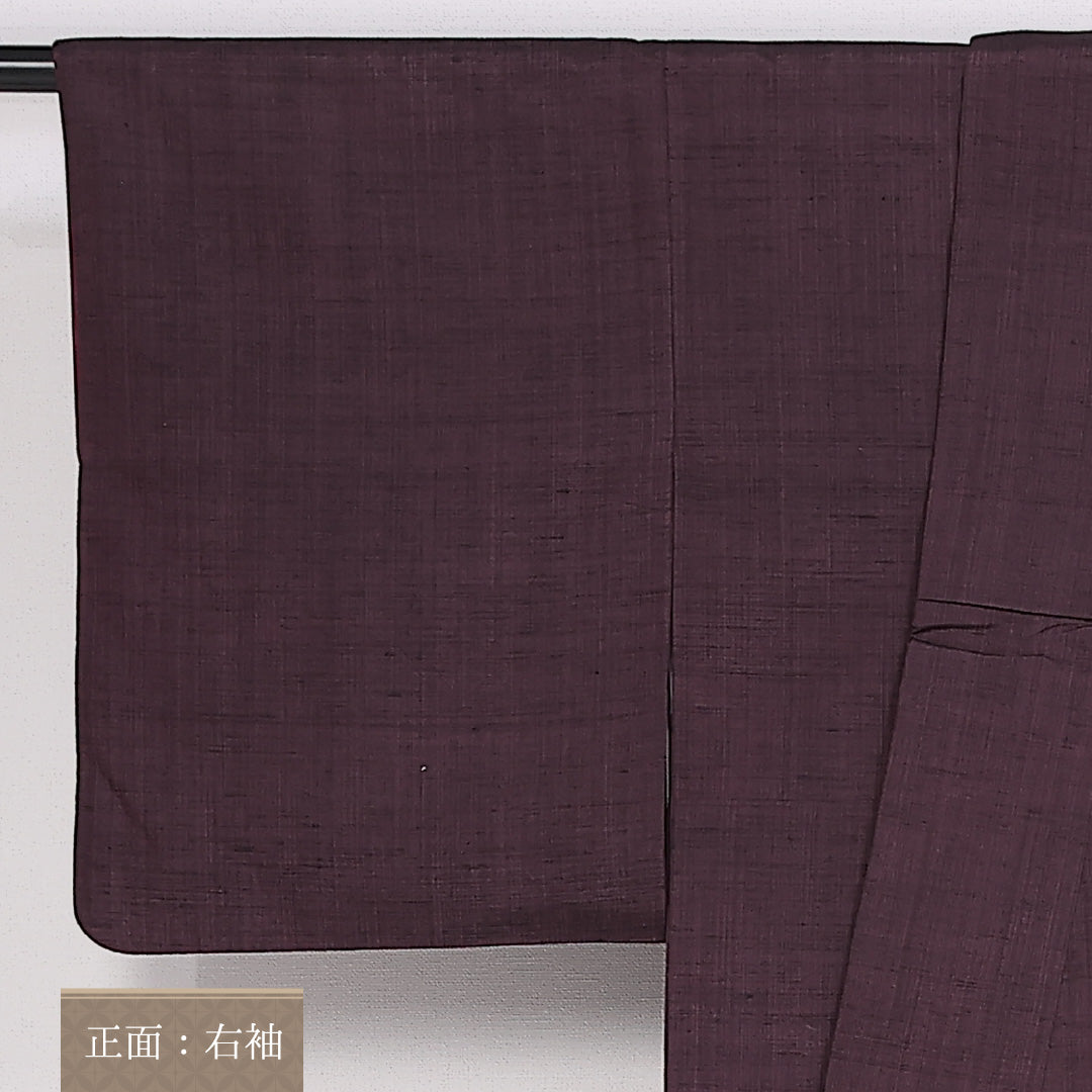 結城紬 身丈158cm 裄丈62.5cm Sランク 袷 正絹 広衿 付下げ 松 寺院 1216-10085