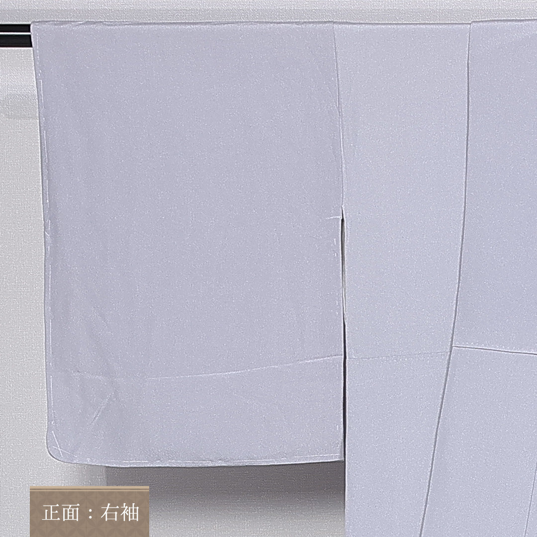 色留袖 身丈160cm 裄丈64.5cm 袷 一つ紋 四ツ目菱 正絹 Bランク 広衿 尾長鳥 アラベスク 1211-F0357