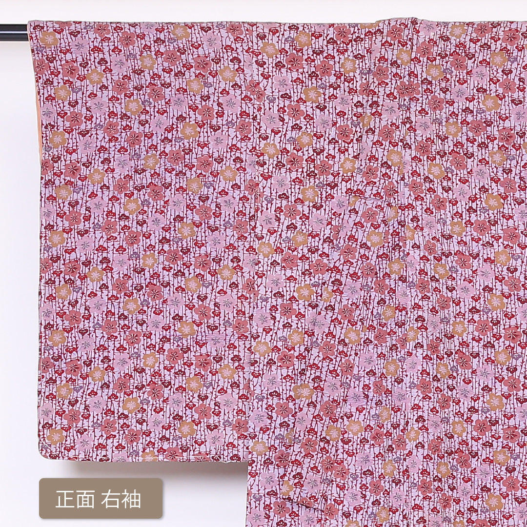 アンティーク 小紋 袷 身丈149cm 裄丈62cm 正絹 Aランク バチ衿 XSサイズ 梅 松 ピンク系 HP 1221-01929