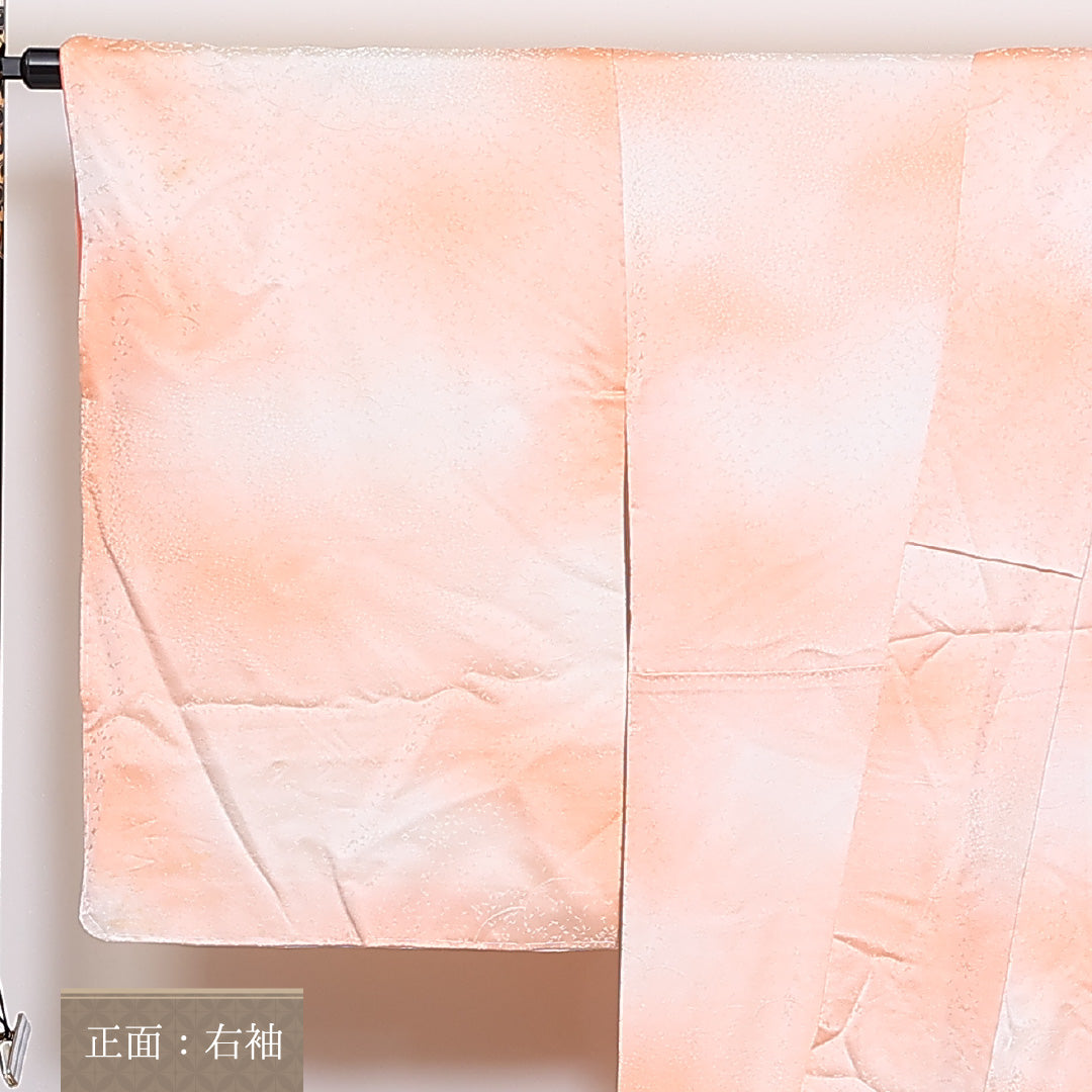 金駒刺繍 訪問着 袷 身丈162cm 裄68cm 正絹 ぼかし 雲取 付下げ Sランク 1212-00685