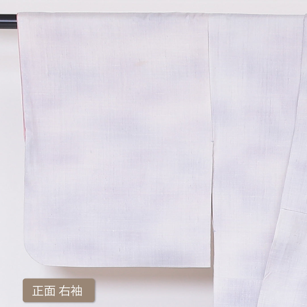 紬 袷 身丈157cm 裄63cm 正絹 白系 Bランク 訪問着 ぼかし 牡丹 紅葉 椿 片喰 一つ紋 1216-00741-4311
