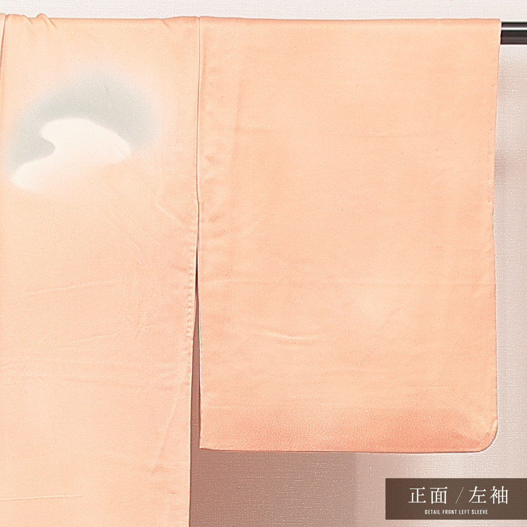 付下げ 1218-16998 左袖