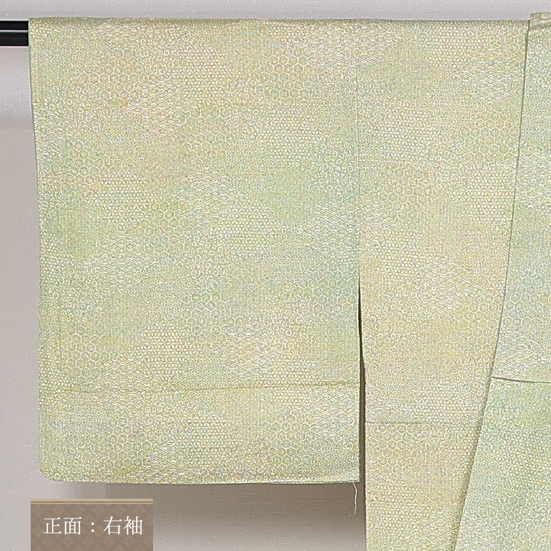 江戸小紋 身丈152cm 裄丈62cm Cランク 袷 正絹 広衿 寄せ柄 1262-10080