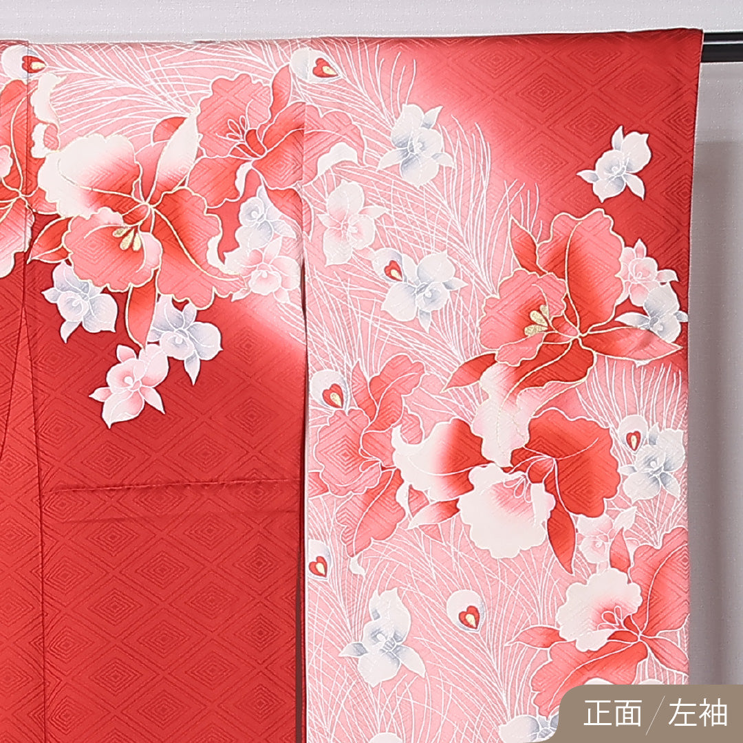 振袖 身丈161cm 裄丈64.5cm Sランク 正絹 袷 広衿 L 孔雀 フォーマル 独創的 華やか 赤系 1213-F0463
