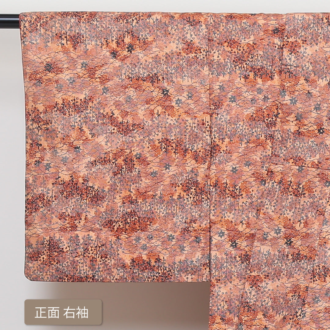 小紋 袷 身丈156cm 裄丈63cm 正絹 Sランク インフォーマル 広衿 Mサイズ 芝草 植物柄 朱系 RP 1221-01350