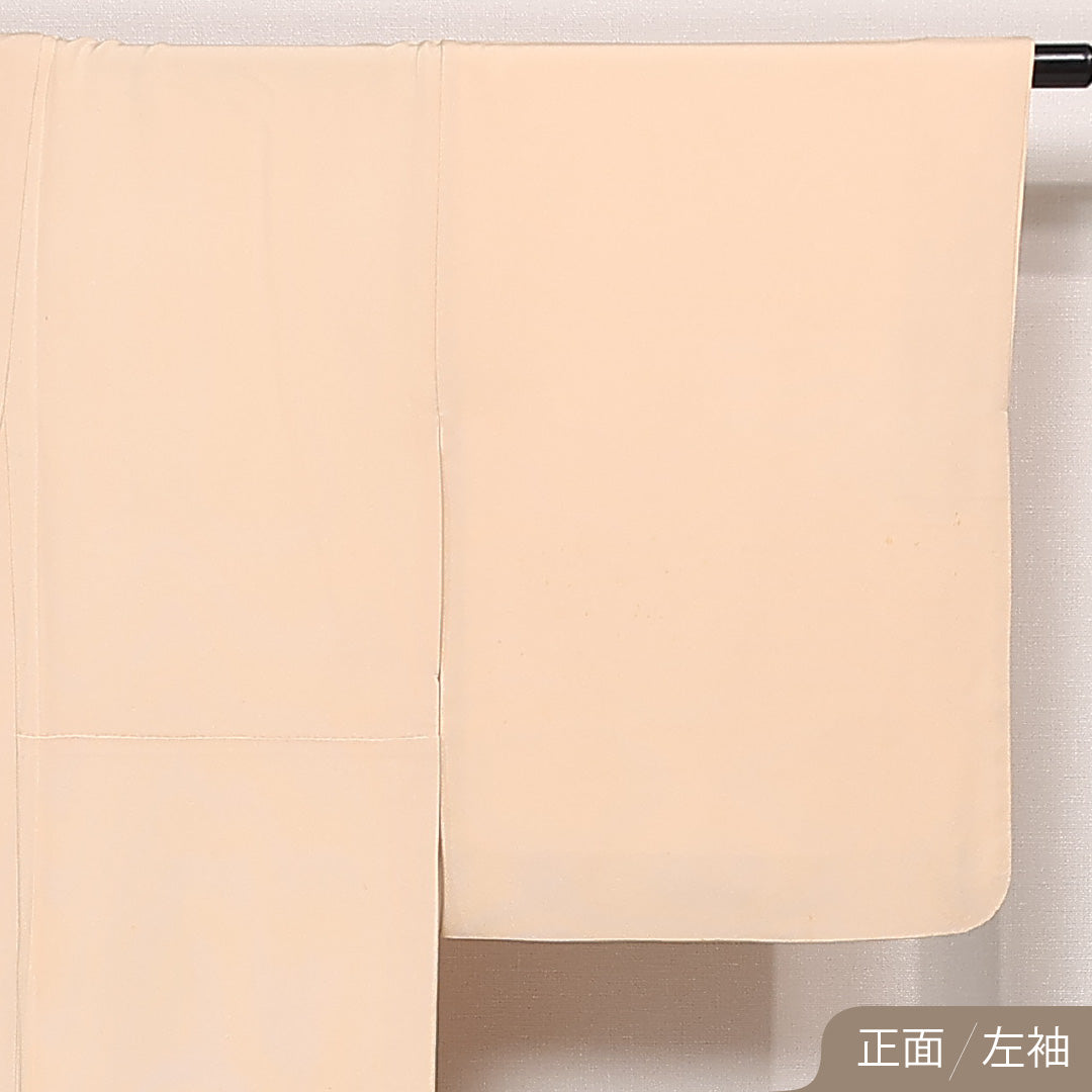 色留袖 三つ紋 丸に枝竜胆 身丈159cm 裄丈67cm Bランク 正絹 袷 比翼 広衿 M 刺繍 鶴 セミフォーマル 独創的 存在感 クリーム系 ピンク系 1211-F0573