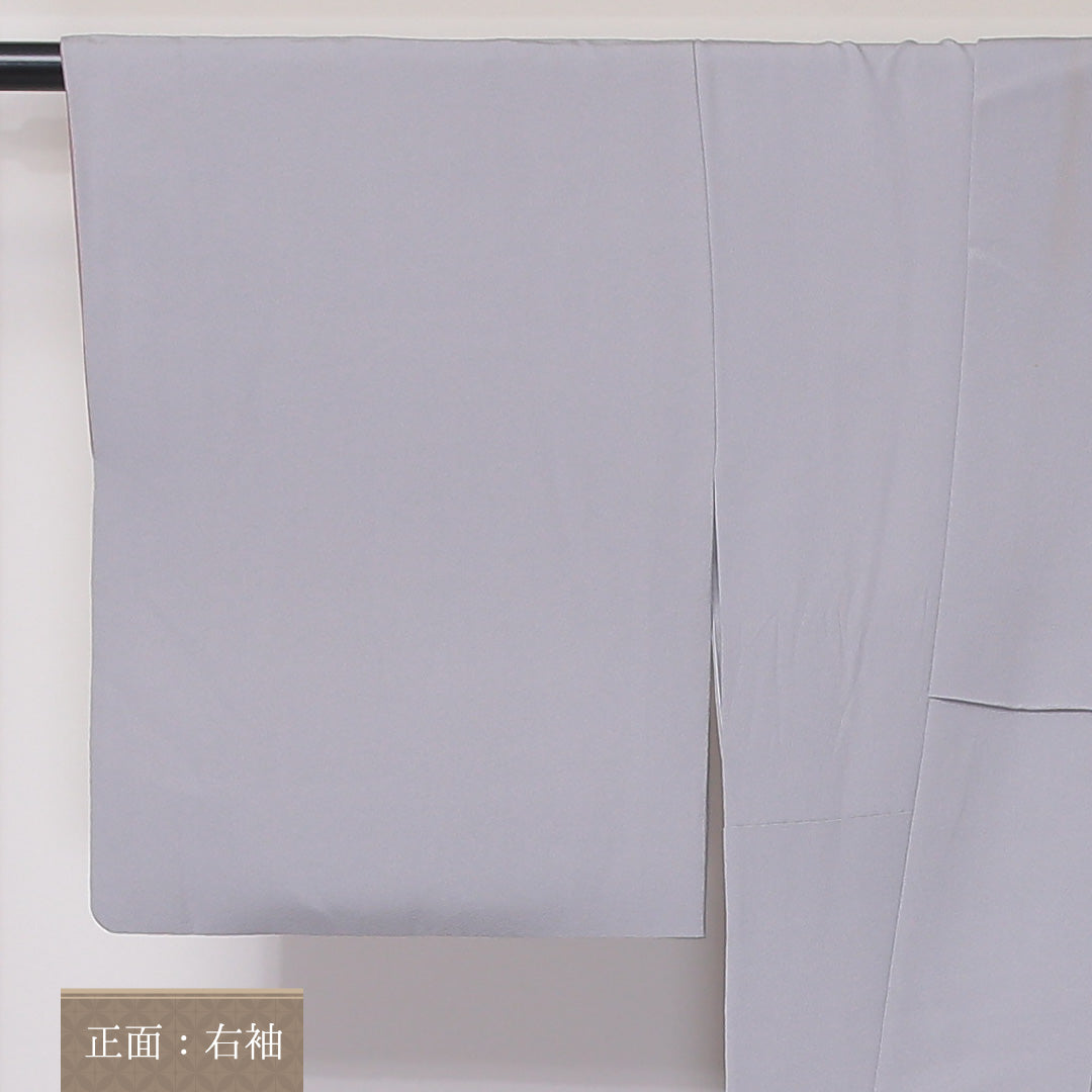 訪問着 袷 身丈158cm 裄丈62cm 正絹 Aランク セミフォーマル 広衿 Mサイズ ぼかし染 鶴 花柄 グレー系 RP 1217-04585