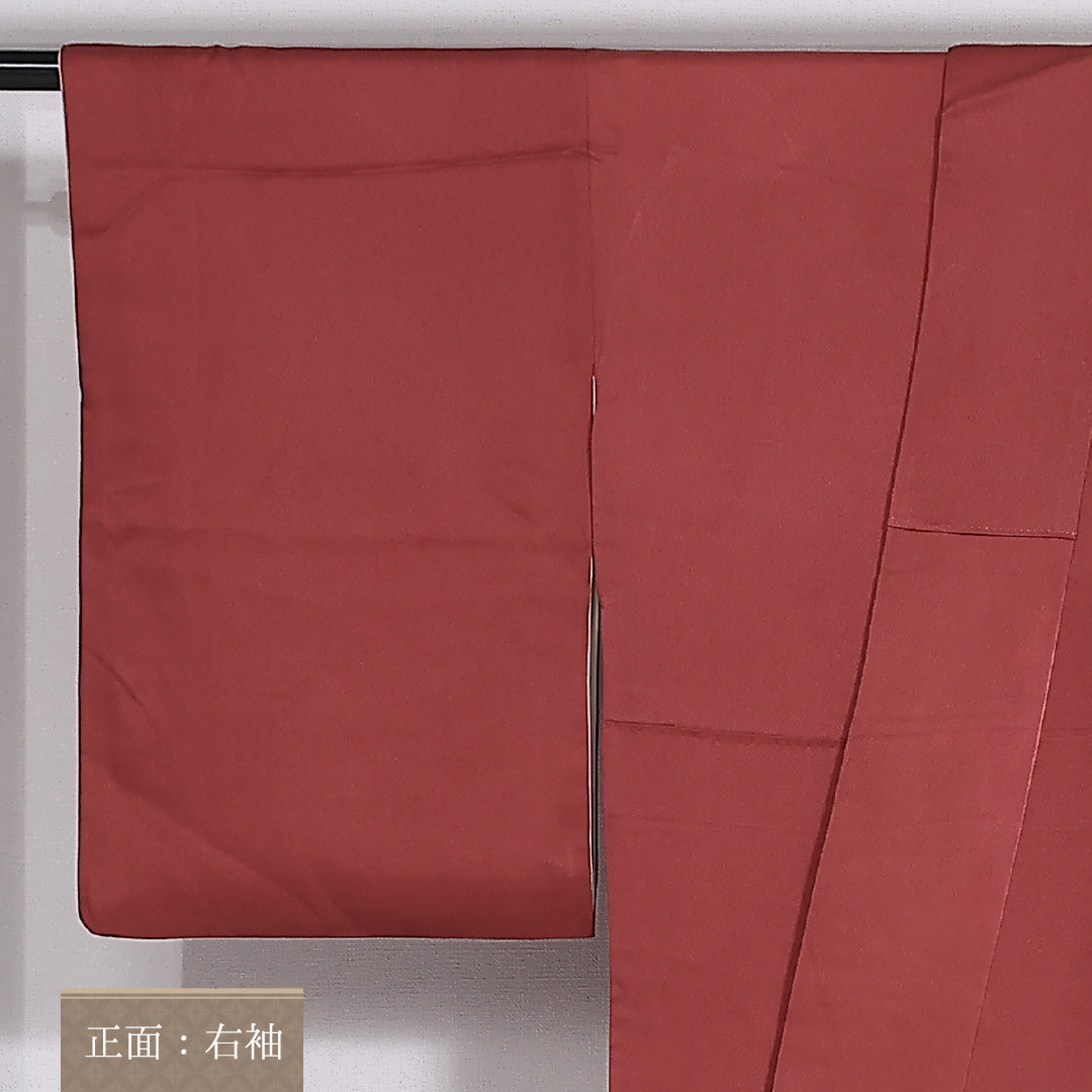 訪問着 袷 身丈157.5cm 裄62.5cm 正絹 牡丹 雪輪 ぼかし Sランク 1212-00831