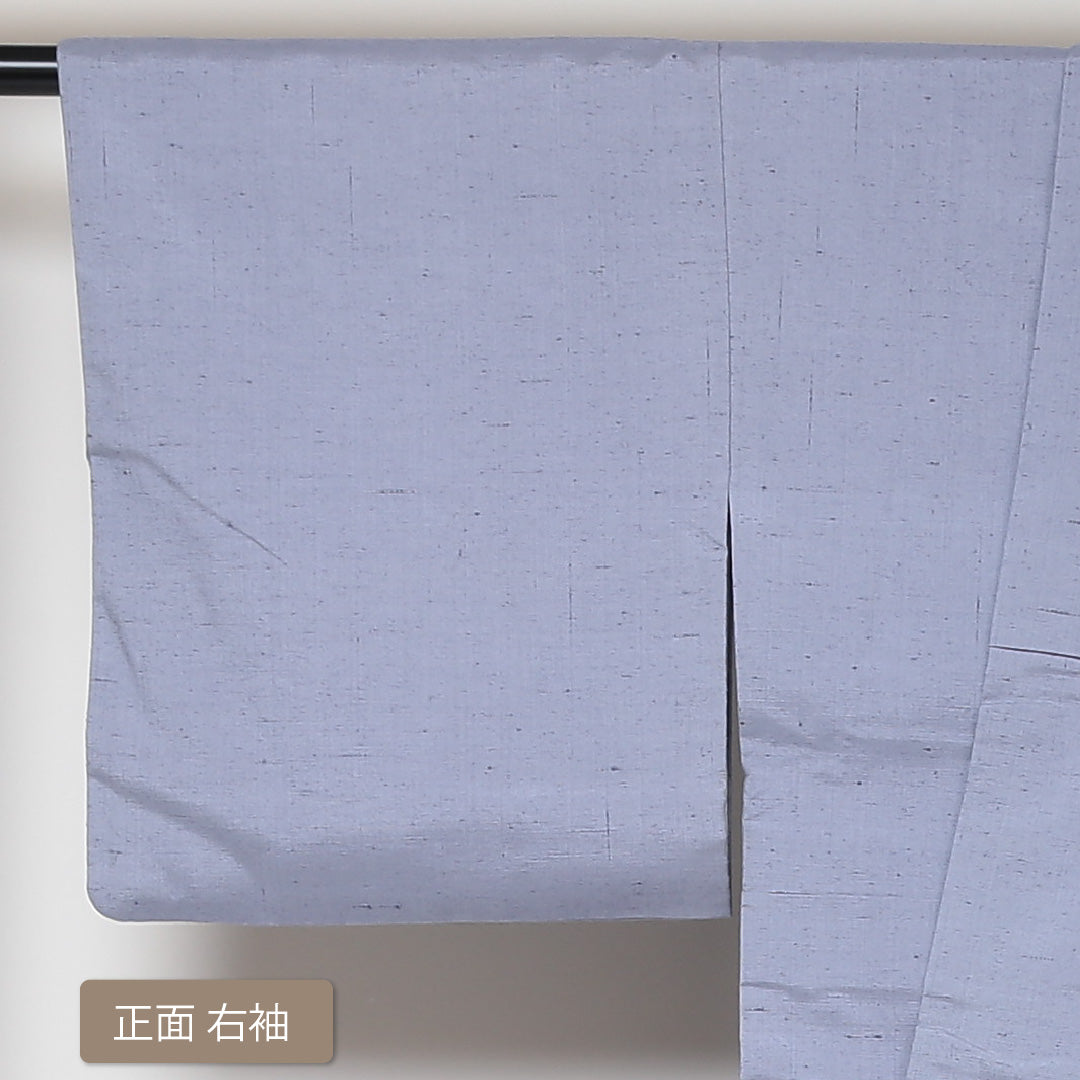 付下げ (牛首紬) 袷 身丈153cm 裄丈64cm 正絹 Sランク インフォーマル 広衿 Sサイズ 刺繍 植物柄 水色系 PO 1218-03100