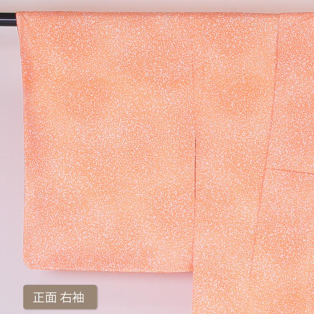 小紋 袷 身丈165cm 裄64.5cm 朱系 砂子 ぼかし 洗える着物 Bランク 1215-01986-4516