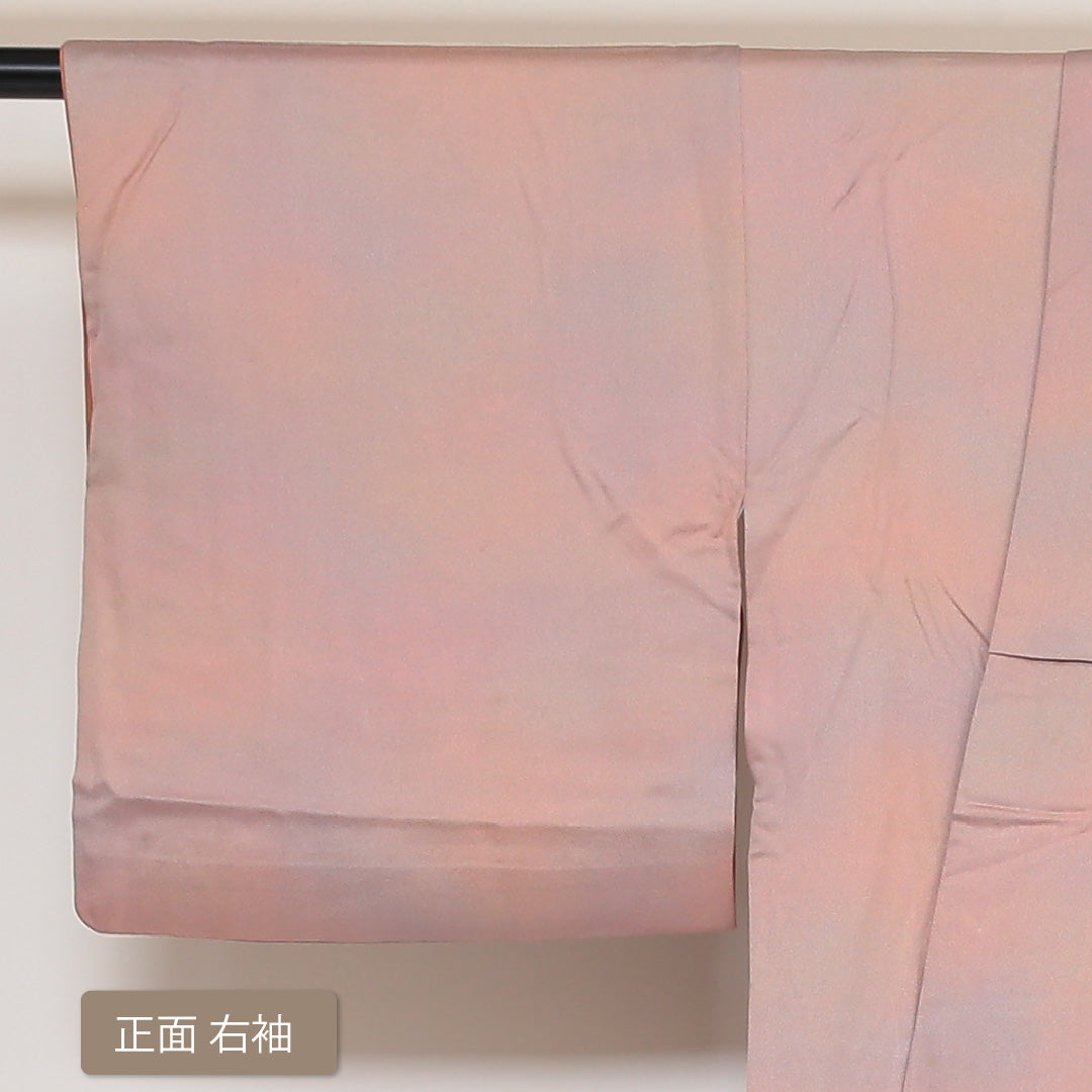 小紋 袷 身丈155cm 裄丈64cm 正絹 Aランク Mサイズ 広衿 一つ紋(蔦) セミフォーマル 無地 ぼかし染 グラデーション系 1215-01633