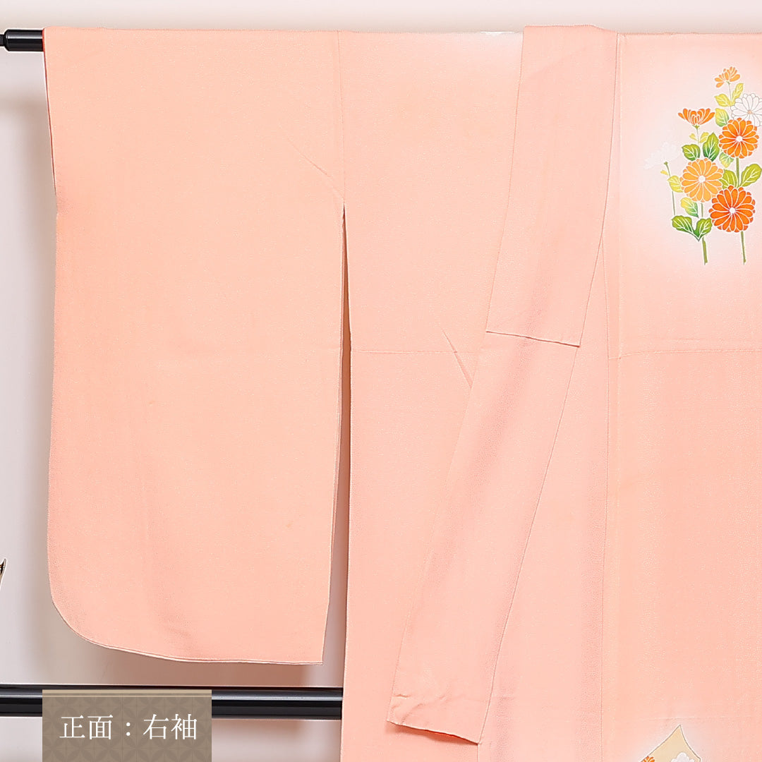 小振袖 身丈159cm 裄丈67cm Bランク 袷 正絹 広衿 熨斗 菊 1213-F0072