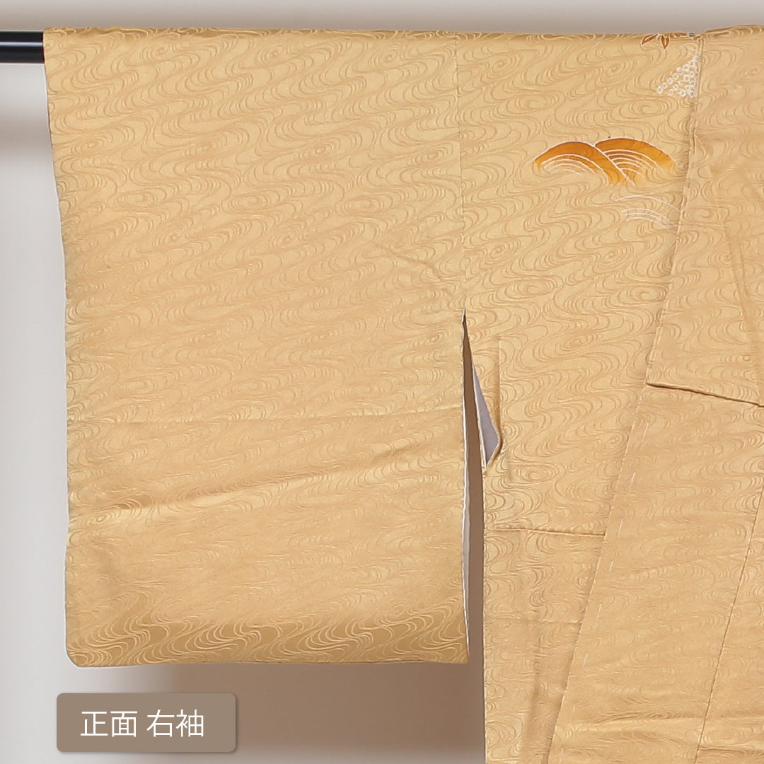 訪問着 袷 身丈148cm 裄丈62cm 正絹 Bランク 紋意匠 (観世水) セミフォーマル 広衿 XSサイズ 絞り 菊 金系 HP 1217-04306