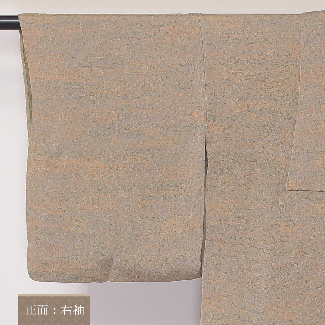 小紋 単衣 身丈157cm 裄丈61cm 正絹 Bランク Mサイズ 広衿 インフォーマル ちりめん 抽象柄 ぼかし染 ベージュ系 1215-02153