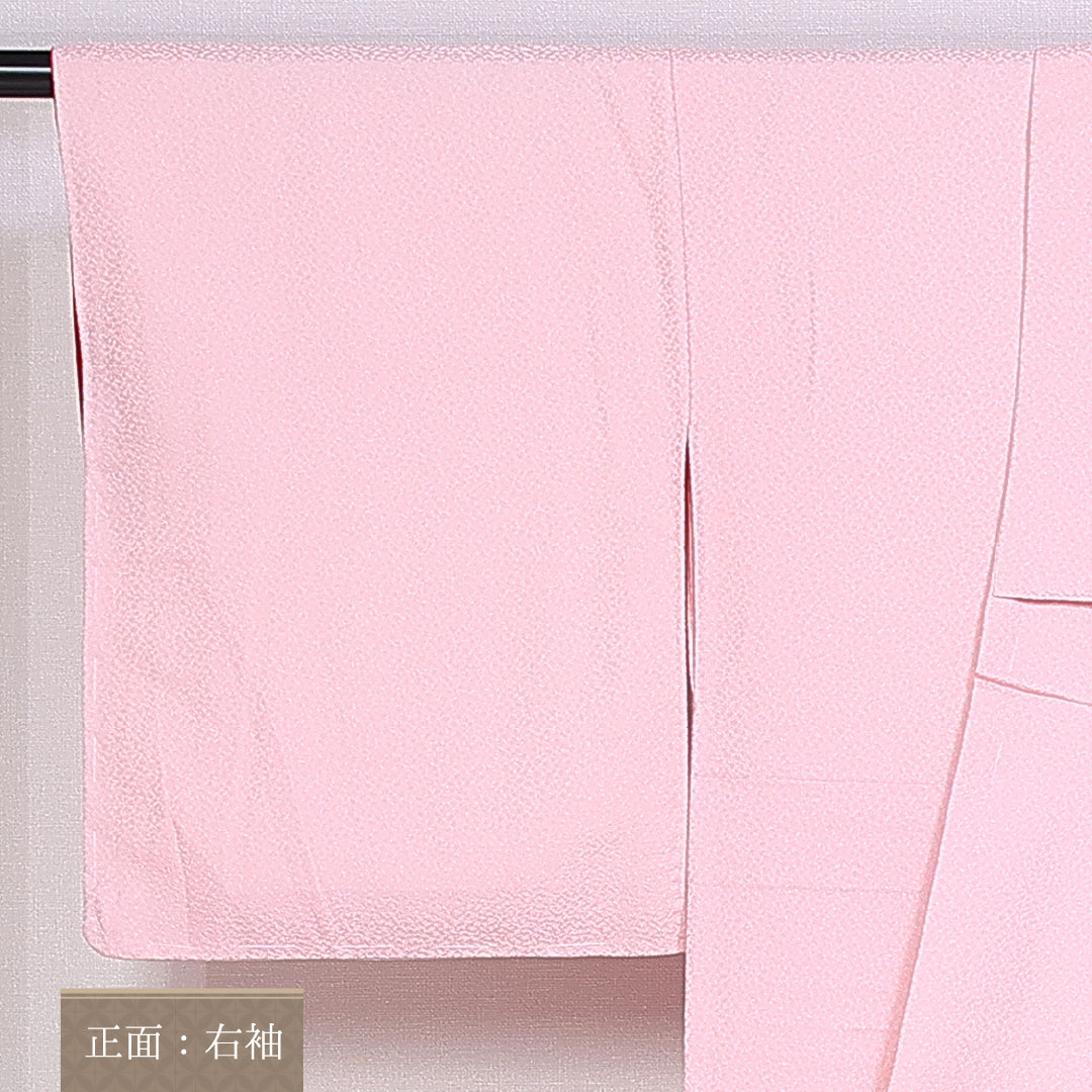 訪問着 身丈162cm 裄丈63.5cm Sランク 袷 正絹 広衿 牡丹 菊 1212-10142