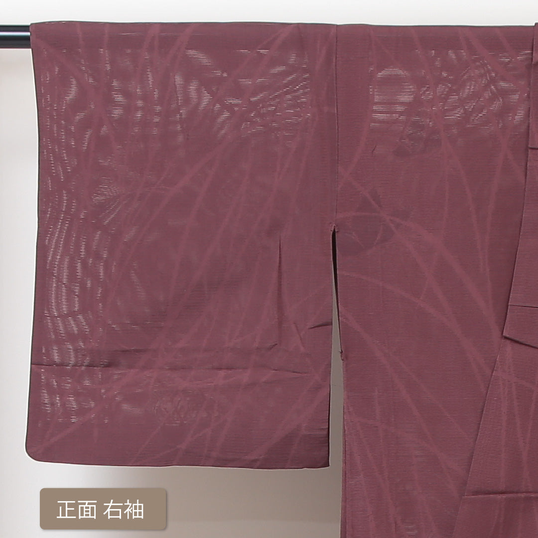 色無地 絽 身丈155cm 裄63.5cm 正絹 茶系 Aランク 芝草 夏着物 1214002353314