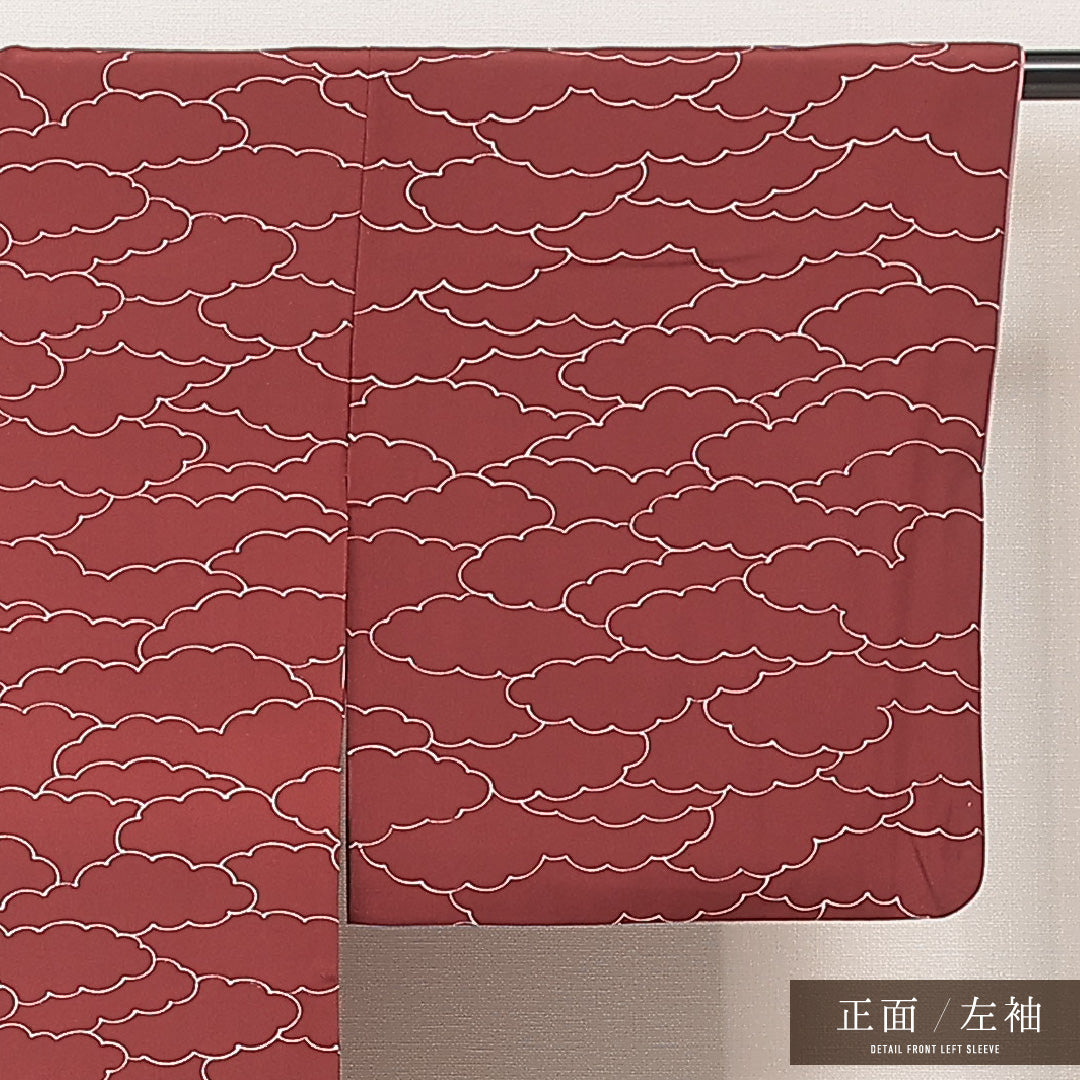 付下げ 1218-16935 左袖