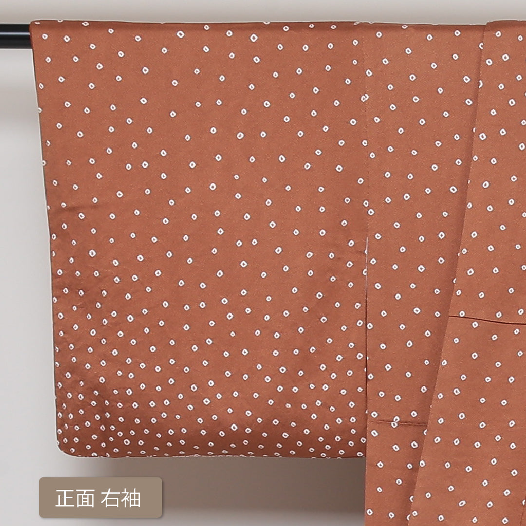 訪問着 袷 身丈160cm 裄丈64cm 正絹 Sランク 紋意匠 (紗綾型) セミフォーマル 広衿 Lサイズ 絞り 牡丹 茶系 RP 1217-04244