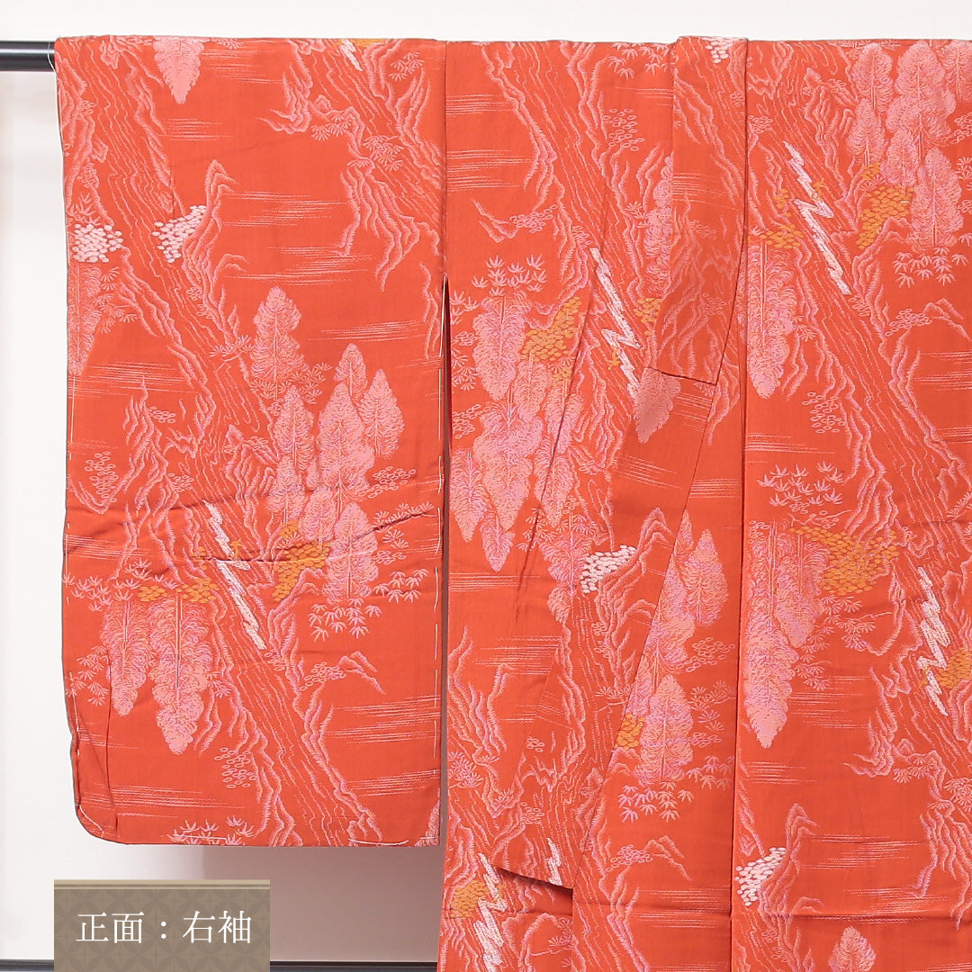 アンティーク お召 袷 身丈146cm 裄丈62cm 正絹 Bランク バチ衿 XSサイズ 植物柄 朱系 RP 1222-03524