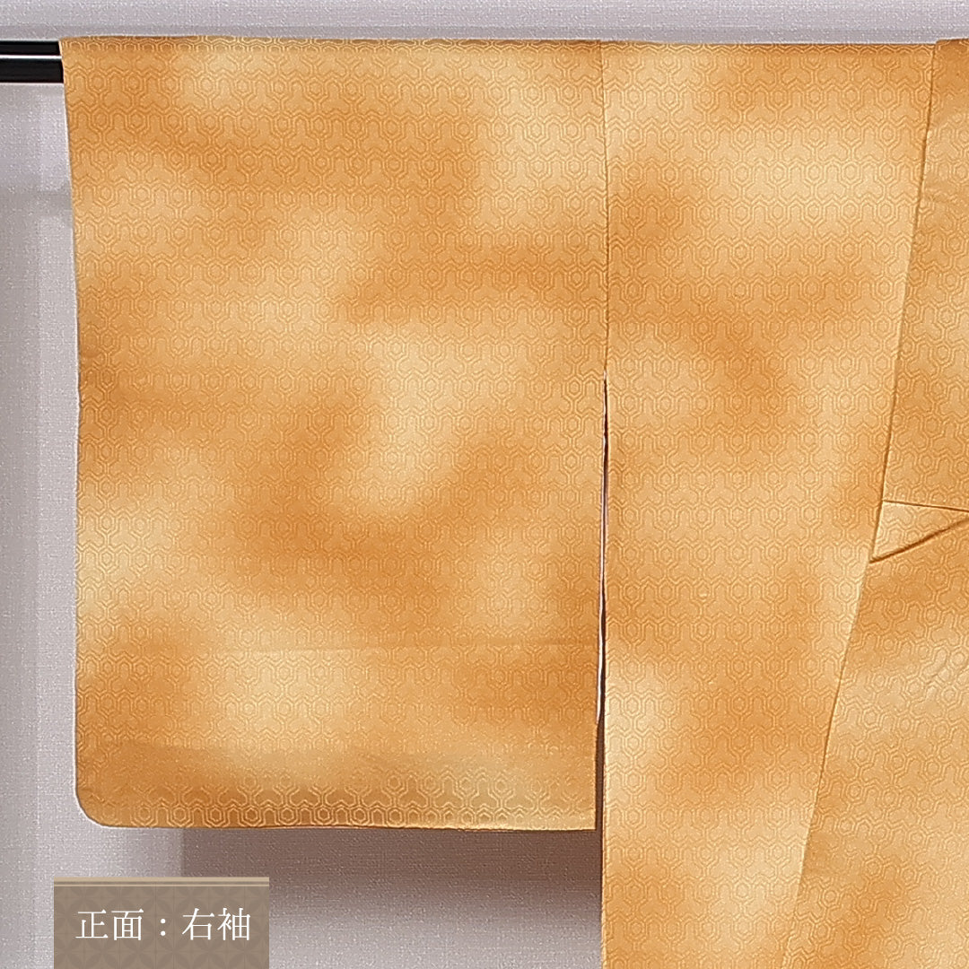 色無地 身丈154cm 裄丈64.5cm S 正絹 Aランク 袷 広衿 毘沙門亀甲 ぼかし 地紋あり 1214-10730