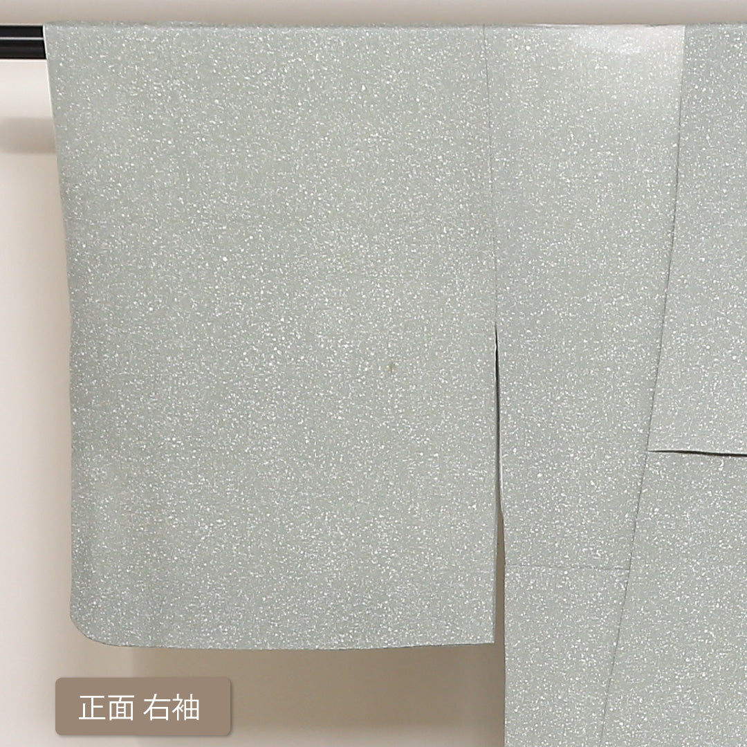 訪問着 袷 身丈155cm 裄丈65cm 正絹 Bランク セミフォーマル 広衿 Mサイズ 風景柄 緑系 HP 1217-04424