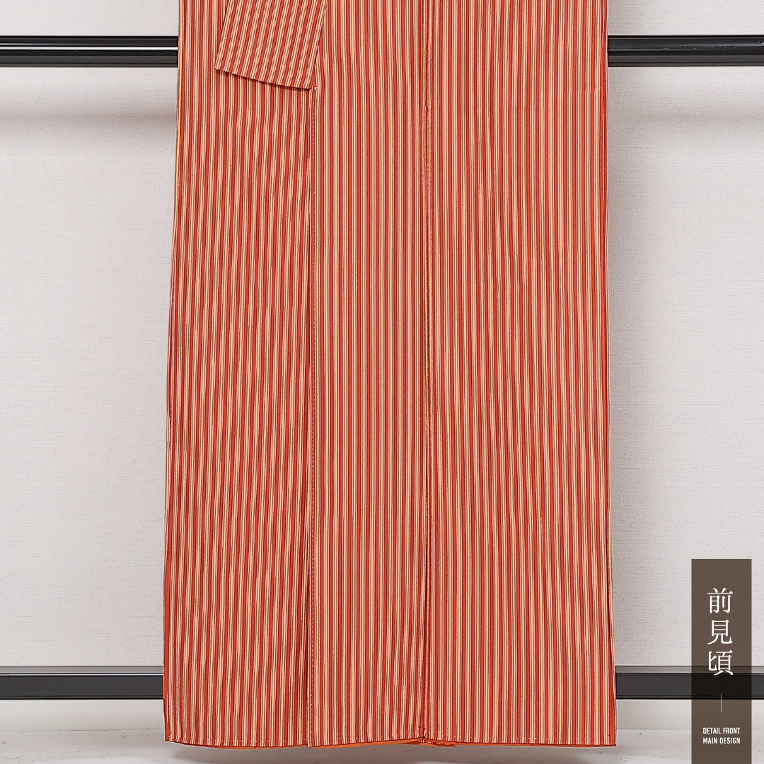 洗える着物 小紋 袷 身丈159cm 裄丈62cm ポリエステル Aランク インフォーマル 広衿 Mサイズ 縞 朱系 HP 1221-13566