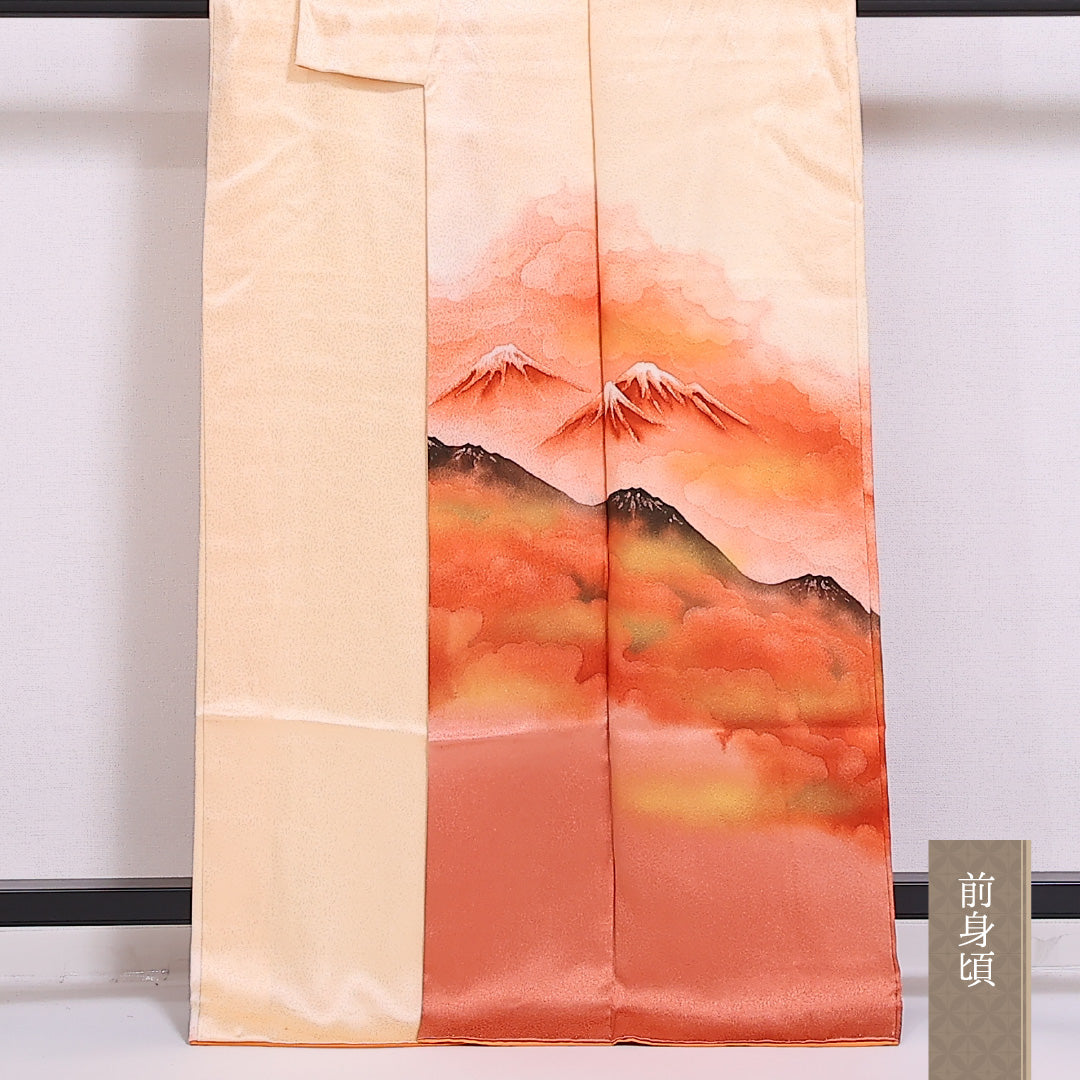 訪問着 袷 身丈163.5cm 裄62.5cm 正絹 風景 山 雲取 Bランク 1212-00839
